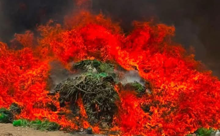 خفر السواحل الموريتانية تُتلف 400 خنشة من شباك “المونوفيلاما” المحظورة في نواذيبو